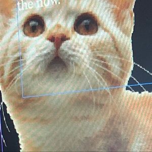 Meet your Posher, Ana